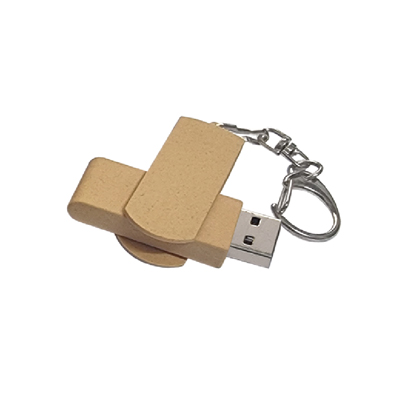 OCM-IT 029